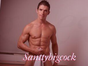 Santtybigcock