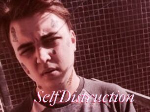 SelfDistruction