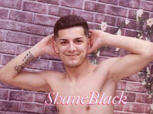 ShaneBlack