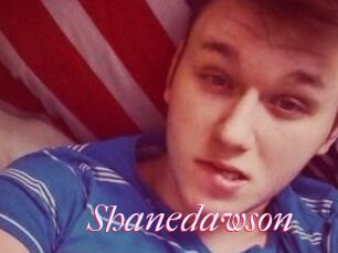 Shanedawson