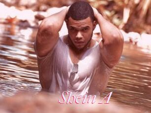 Shein_A
