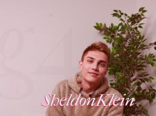 SheldonKlein