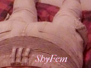 ShyFem