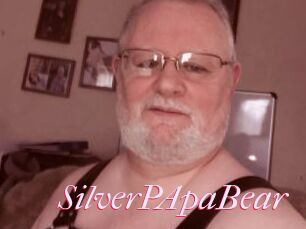 SilverPApaBear