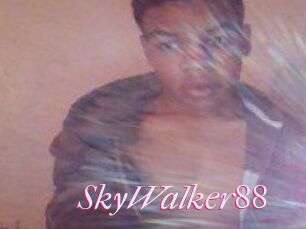 SkyWalker88