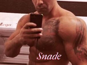 Snade