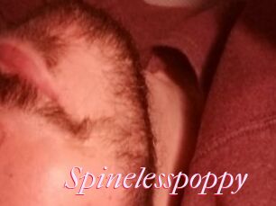 Spinelesspoppy