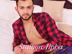 StallionAlpha