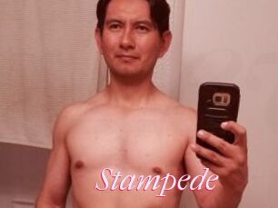 Stampede