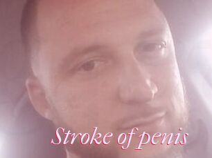 Stroke_of_penis