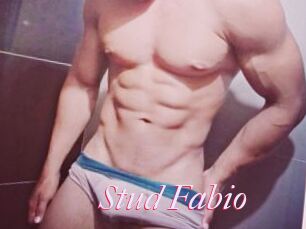 Stud_Fabio
