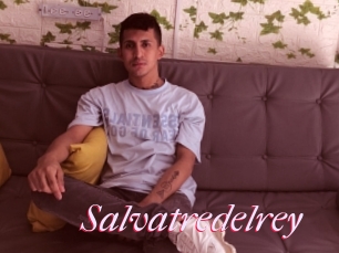 Salvatredelrey