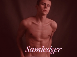 Samledger