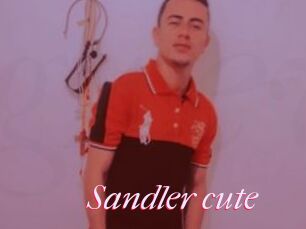Sandler_cute