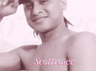 Scottrosee