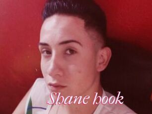 Shane_hook
