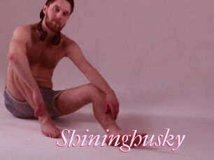 Shininghusky