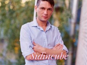 Sid_incube