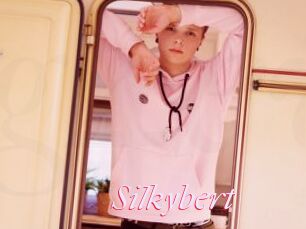Silkybert