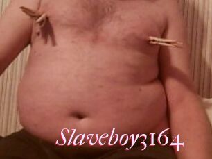 Slaveboy3164