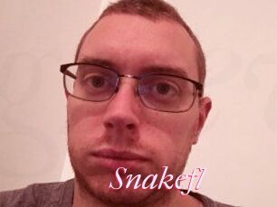Snakefl
