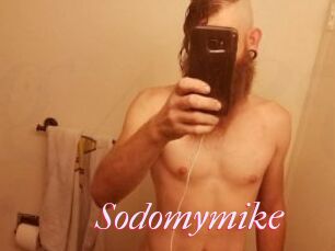 Sodomymike