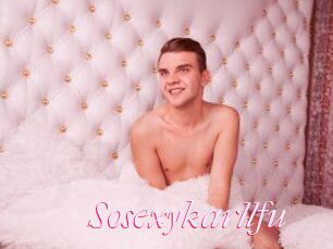 Sosexykarllfu