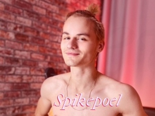 Spikepoel
