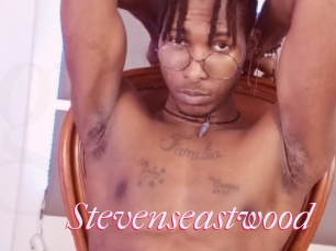 Stevenseastwood