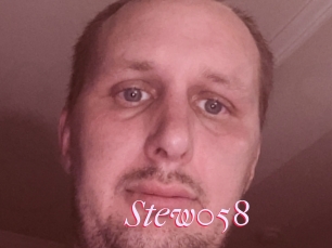 Stew058