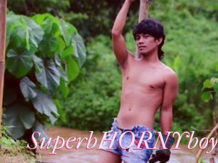 SuperbHORNYboy
