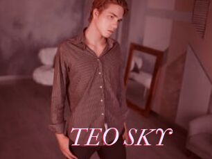 TEO_SKY