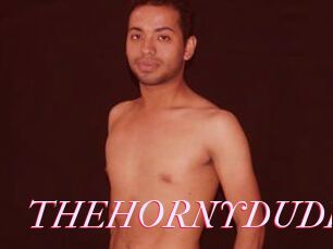 THEHORNYDUDE