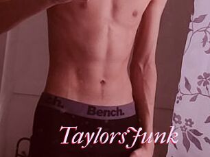 TaylorsJunk