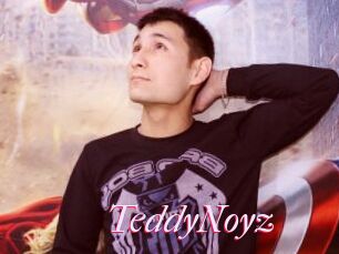 TeddyNoyz