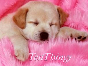TestThingy