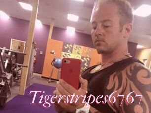 Tigerstripes6767