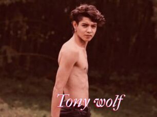 Tony_wolf