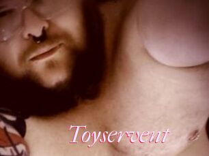 Toyservent