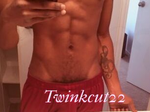 Twinkcut22