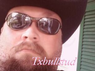 Txbullstud