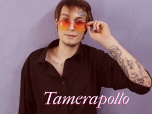 Tamerapollo