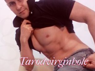 Tarodvirginhole
