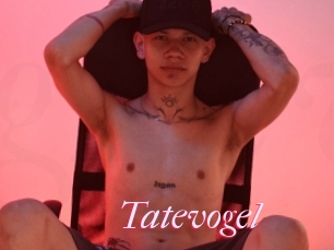 Tatevogel
