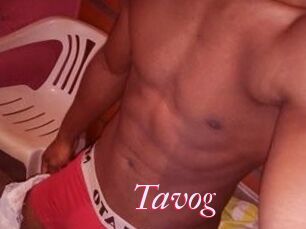Tavog