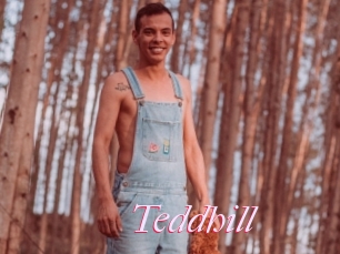 Teddhill