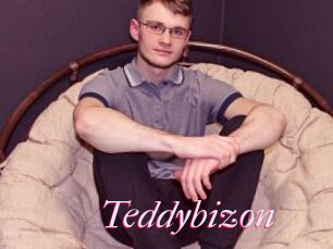 Teddybizon