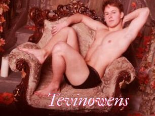 Tevinowens