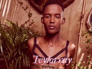 Teylorray