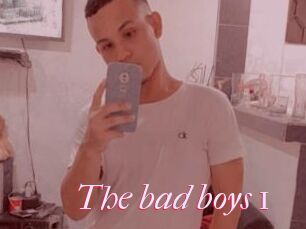 The_bad_boys_1